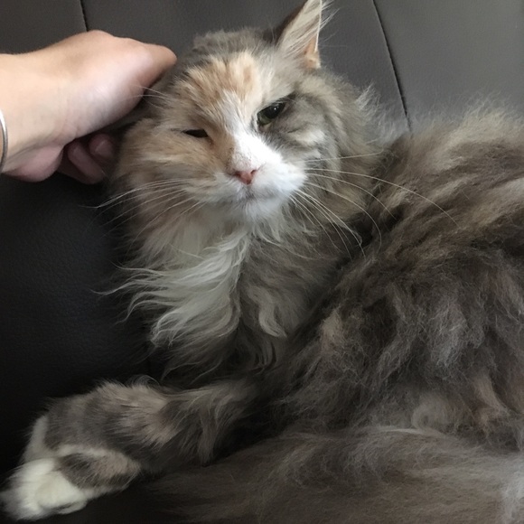 Meet your Posher! - Picture 4 of 12